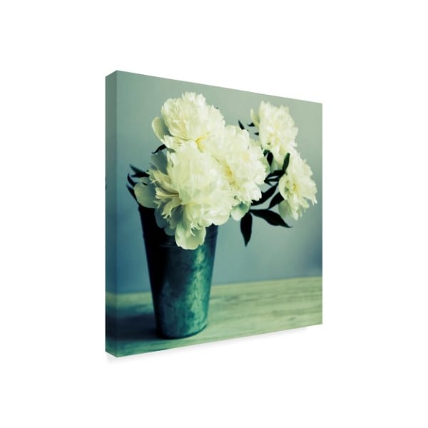 Tom Quartermaine 'Bunch Of White Peonies In Vase' Canvas Art,24x24